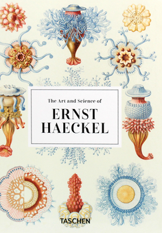Бумажная книга «Haeckel», авторов Джулия Восс, Райнер Вильманн - фото №1 - миниатюра