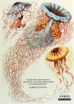 Бумажная книга «Haeckel», авторов Джулия Восс, Райнер Вильманн - фото №2 - миниатюра