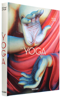 Бумажная книга «Michael O'Neill. On Yoga. The Architecture of Peace», автор Эдди Стерн - фото №3 - миниатюра