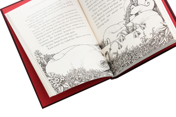 Бумажная книга «The Hogwarts Library Box Set», автор Джоан Роулинг - фото №17 - миниатюра