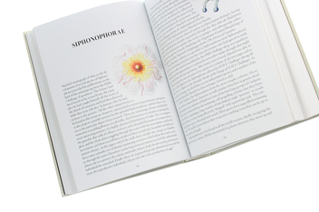 Бумажная книга «Haeckel», авторов Джулия Восс, Райнер Вильманн - фото №7 - миниатюра