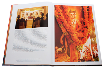 Бумажная книга «Michael O'Neill. On Yoga. The Architecture of Peace», автор Эдди Стерн - фото №5 - миниатюра