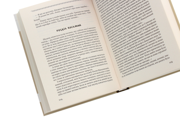 Паперова книга «Лебедина зграя», автор Василь Земляк - фото №5 - мініатюра