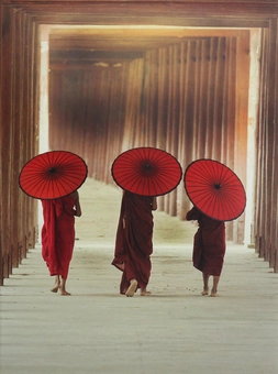 Бумажная книга «Mindful Walking» - фото №1 - миниатюра