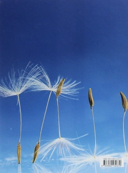 Бумажная книга «Dandelion» - фото №2 - миниатюра