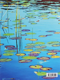 Бумажная книга «Lily Pads» - фото №2 - миниатюра