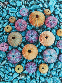Бумажная книга «Sea Treasures» - фото №1 - миниатюра