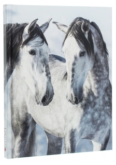 Паперова книга «Magic Horses II» - фото №3 - мініатюра