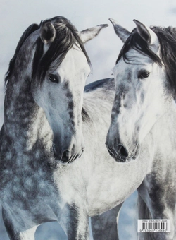 Паперова книга «Magic Horses II» - фото №2 - мініатюра