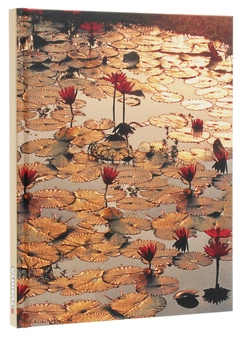 Паперова книга «Lotus Pond» - фото №3 - мініатюра