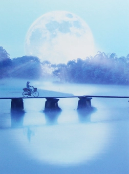 Бумажная книга «Moon Bicycle» - фото №1 - миниатюра