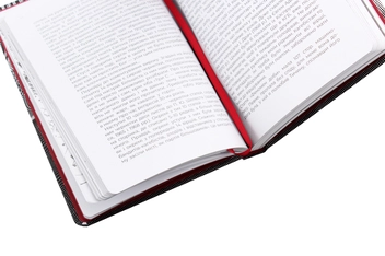 Паперова книга «Листи до сина», автор Василь Стус - фото №5 - мініатюра