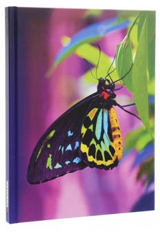 Бумажная книга «Butterfly» - фото №3 - миниатюра