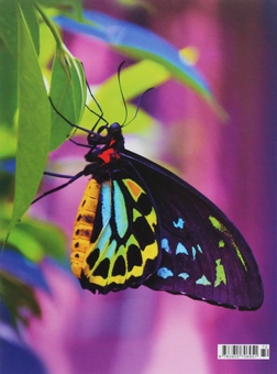 Бумажная книга «Butterfly» - фото №2 - миниатюра