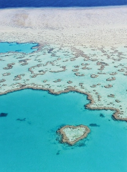 Бумажная книга «Blue Planet. Great Barrier Reef» - фото №1 - миниатюра