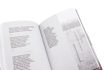 Паперова книга «Листи до сина», автор Василь Стус - фото №6 - мініатюра
