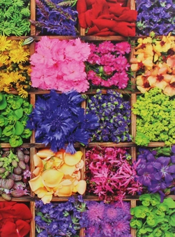 Паперова книга «Flower Arrangement» - фото №1 - мініатюра