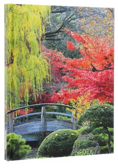 Паперова книга «Japanese Garden» - фото №3 - мініатюра