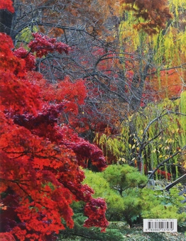 Паперова книга «Japanese Garden» - фото №2 - мініатюра