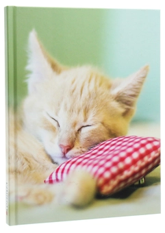 Бумажная книга «Kitten» - фото №3 - миниатюра