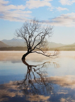 Бумажная книга «Lone Tree» - фото №1 - миниатюра