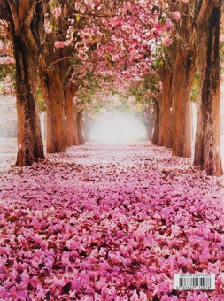Бумажная книга «Flower Alley» - фото №2 - миниатюра