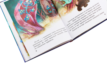 Паперова книга «Країна Замазурія», автор Оксана Дємченко - фото №6 - мініатюра