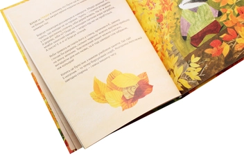 Бумажная книга «Хто росте у лісі», автор Екатерина Михалицына - фото №6 - миниатюра
