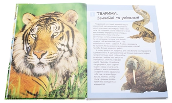 Бумажная книга « Ілюстрована дитяча енциклопедія у запитаннях і відповідях », авторов Сергей Гусак, М. Скудери, Ачети Лаура - фото №4 - миниатюра