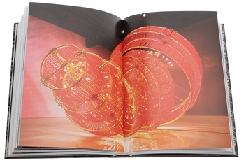 Паперова книга «Ai Weiwei. 40th Anniversary Edition», автор Ханс Вернер Хольцварт - фото №7 - мініатюра