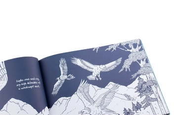 Бумажная книга «Colour Together. Nature», автор Энни Дэвидсон - фото №6 - миниатюра