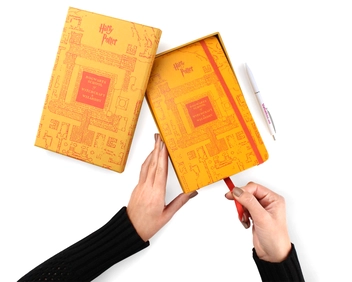 «Записная книжка Moleskine Harry Potter Линейка (LEHP02QP060CLT)», бренда Moleskine - фото №12 - миниатюра