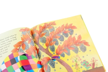 Бумажная книга «Elmer», автор Дэвид Макки - фото №5 - миниатюра