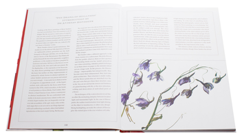 Бумажная книга «Rosie Sanders' Flowers. A celebration of botanical art», автор Рози Сандерс - фото №6 - миниатюра