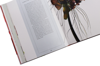 Бумажная книга «Rosie Sanders' Flowers. A celebration of botanical art», автор Рози Сандерс - фото №8 - миниатюра