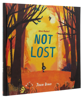 Паперова книга «Mini Rabbit Not Lost», автор Джон Бонд - фото №2 - мініатюра