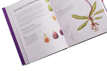 Бумажная книга «Exotic Botanical Illustration», авторов Рози Мартин, Мерьель Турстан - фото №6 - миниатюра