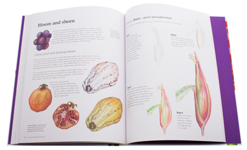 Бумажная книга «Exotic Botanical Illustration», авторов Рози Мартин, Мерьель Турстан - фото №7 - миниатюра