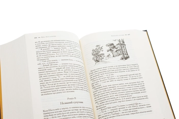 Паперова книга «Хроніки Нарнії. Повна історія чарівного світу», автор Клайв Стейплз Льюїс - фото №6 - мініатюра