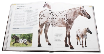 Бумажная книга «The Horse Encyclopedia», автор Элвин Хартли Эдвардс - фото №9 - миниатюра