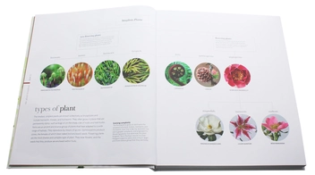 Бумажная книга «Flora. Inside the Secret World of Plants» - фото №5 - миниатюра