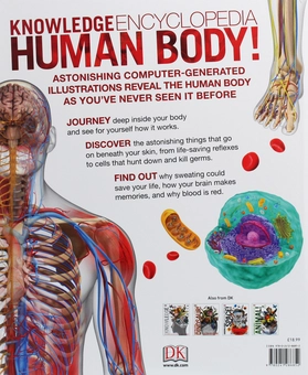 Бумажная книга «Knowledge Encyclopedia Human Body!» - фото №3 - миниатюра