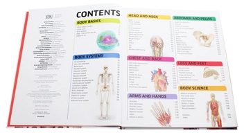Бумажная книга «Knowledge Encyclopedia Human Body!» - фото №4 - миниатюра