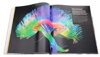 Бумажная книга «Knowledge Encyclopedia Human Body!» - фото №7 - миниатюра