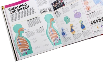 Бумажная книга «Knowledge Encyclopedia Human Body!» - фото №8 - миниатюра