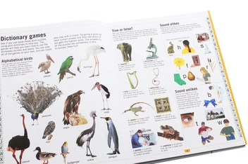 Бумажная книга «Children's Illustrated Dictionary», автор Джон Макилвейн - фото №11 - миниатюра