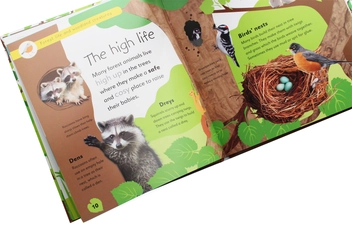 Бумажная книга «Forest Life and Woodland Creatures. Full of Fun Facts and Activities» - фото №11 - миниатюра