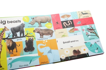 Паперова книга «100 First Animals», автор Доун Сіретт - фото №10 - мініатюра