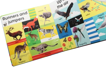 Паперова книга «100 First Animals», автор Доун Сіретт - фото №11 - мініатюра