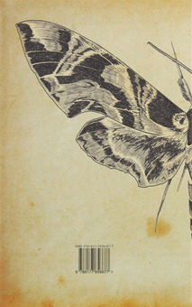 Бумажная книга «Якщо вона є», автор Ольга Бражник - фото №2 - миниатюра
